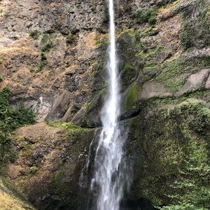 Meet your Posher, Bruce